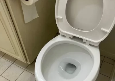 Detailed Bathroom Cleaning