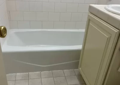 Proficient Bathroom Cleaning